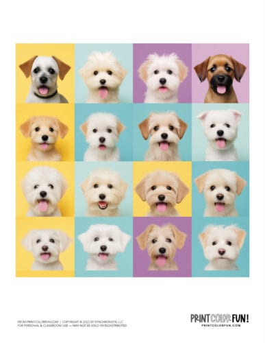 Realistic dog color clipart from PrintColorFun com 2