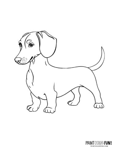Realistic dog coloring page at PrintColorFun com 01