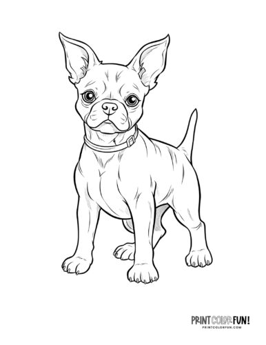Realistic dog coloring page at PrintColorFun com 02