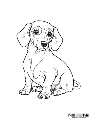 Realistic dog coloring page at PrintColorFun com 07