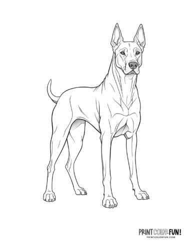 Realistic dog coloring page at PrintColorFun com 08