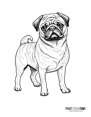 Realistic dog coloring page at PrintColorFun com 10