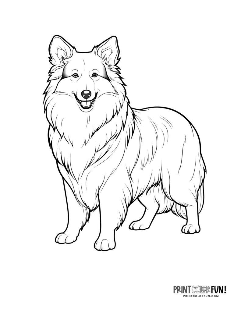 60+ dog coloring pages & clipart: Pawsome activities for your little ...