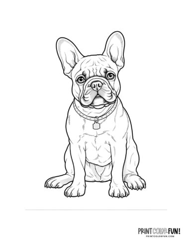Realistic dog coloring page at PrintColorFun com 17