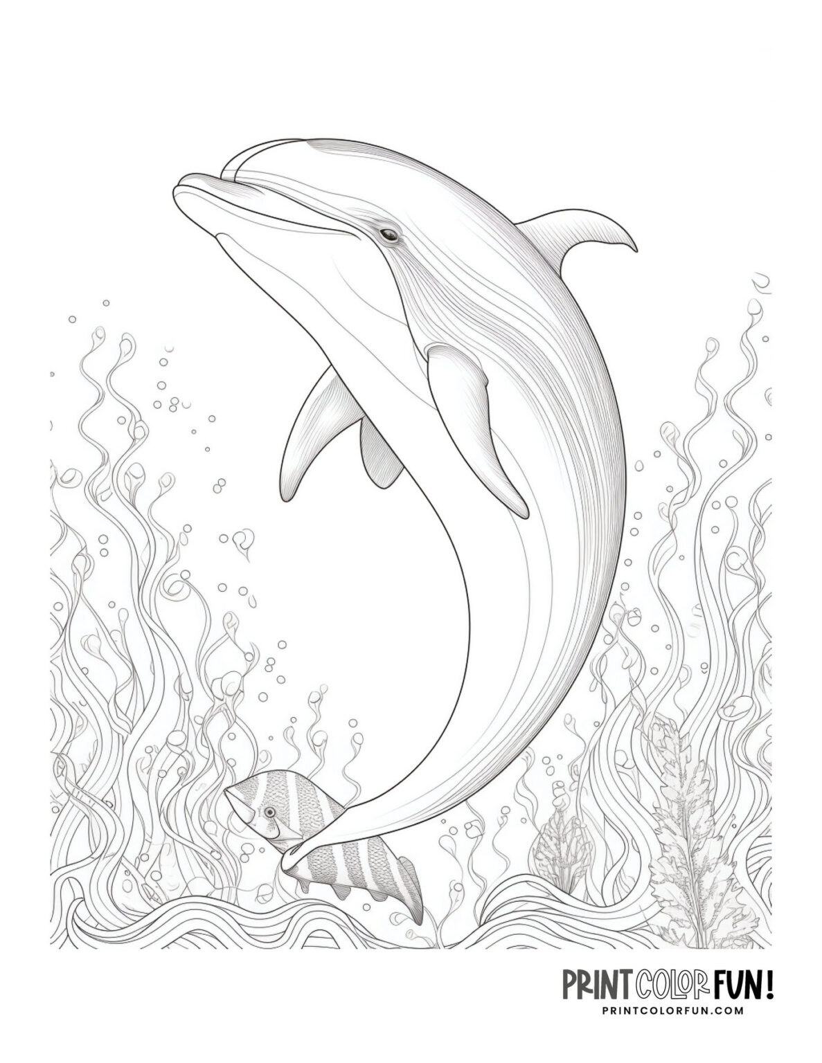 27 printable dolphin coloring pages: Dive into a world of fun crafts ...