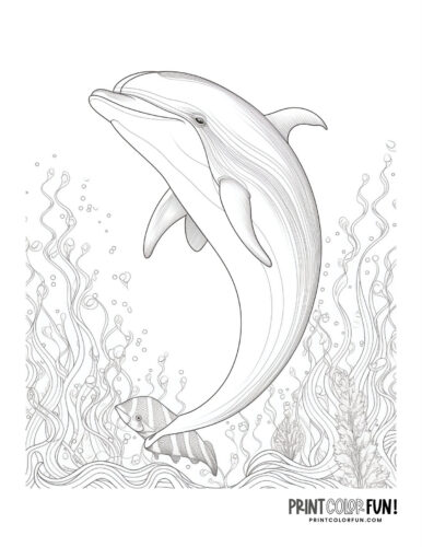 Realistic dolphin coloring printable (1)