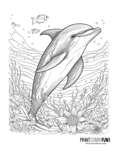 Realistic dolphin coloring printable (2)