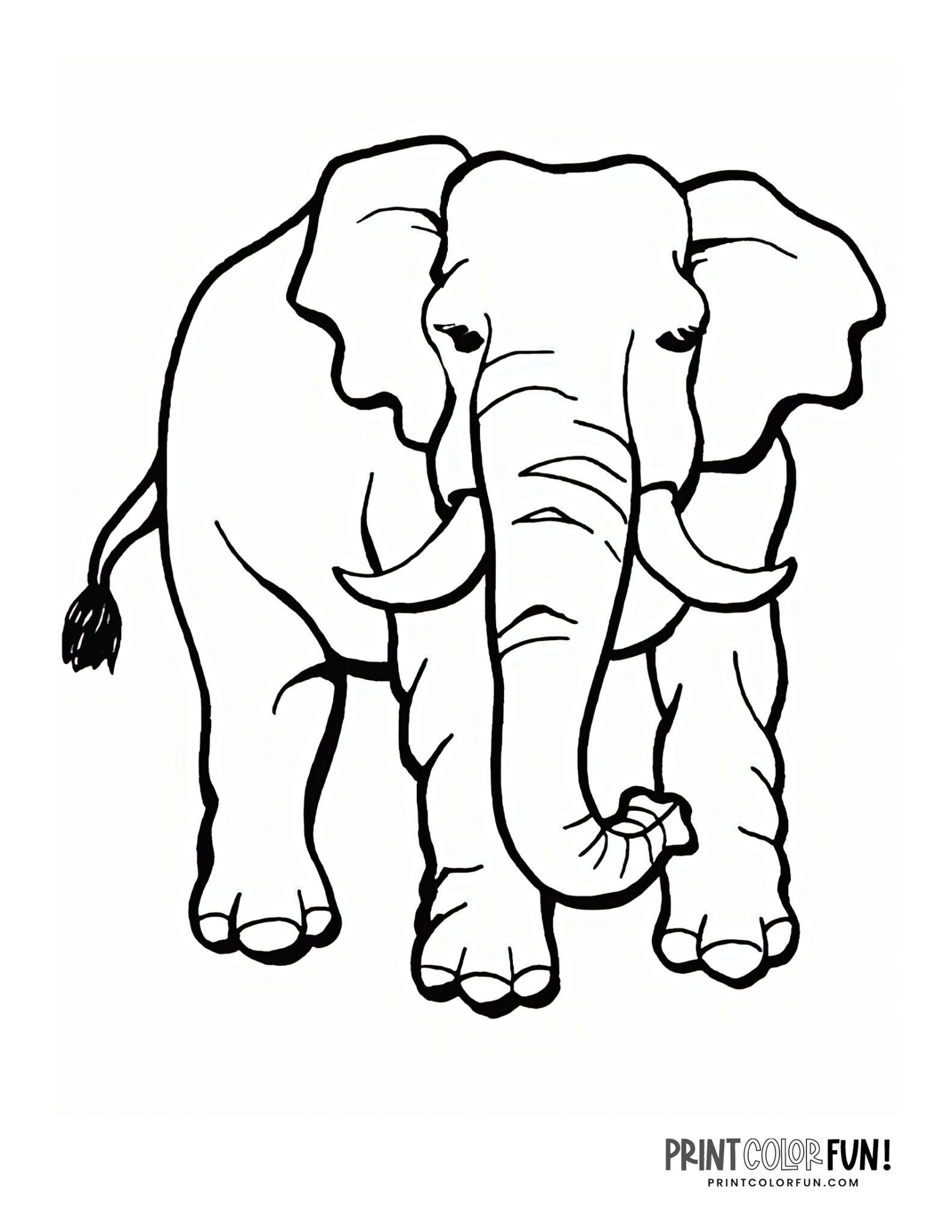 6 realistic elephant coloring pages to print - Print Color Fun!