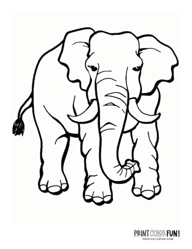 Realistic elephant coloring pages (2)