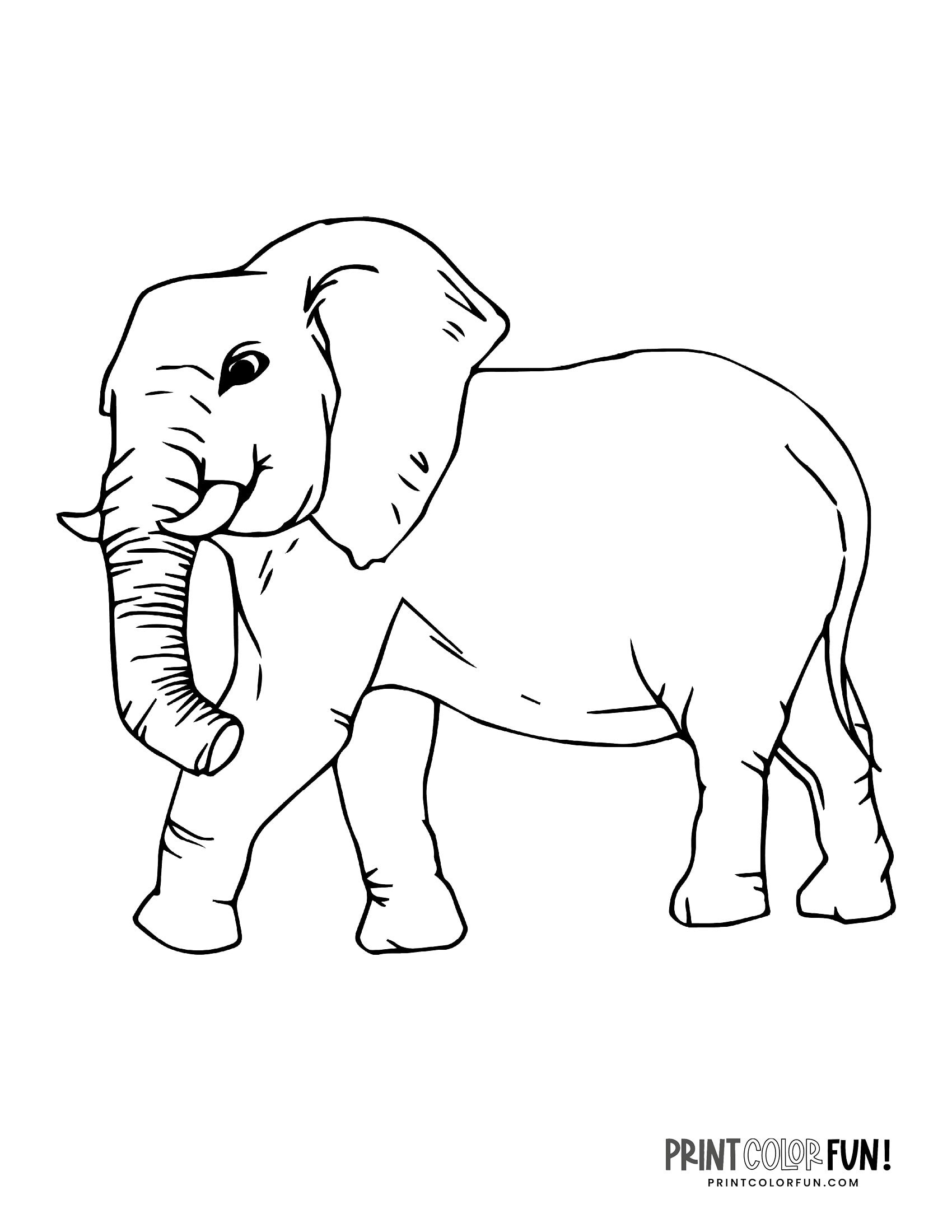 6 realistic elephant coloring pages to print - Print Color ...