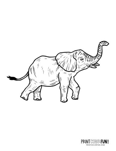 Elephant Pencil Case Coloring Page