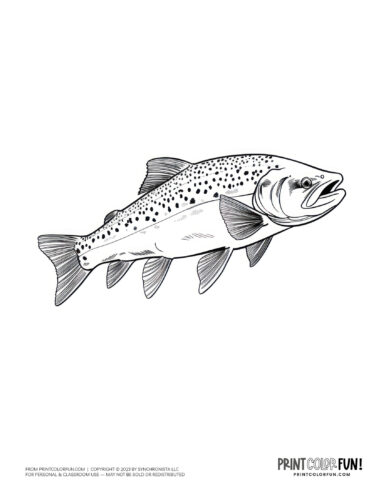 Realistic fish coloring page clipart from PrintColorFun com (1)