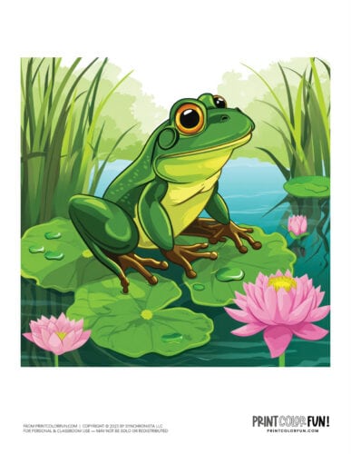 Realistic frog clipart scene from PrintColorFun com (3)