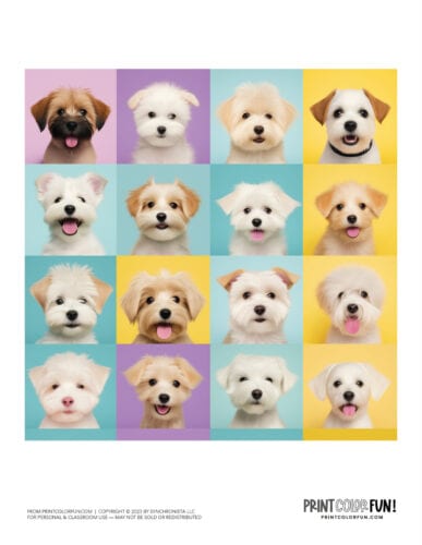 Realistic puppy color clipart from PrintColorFun com