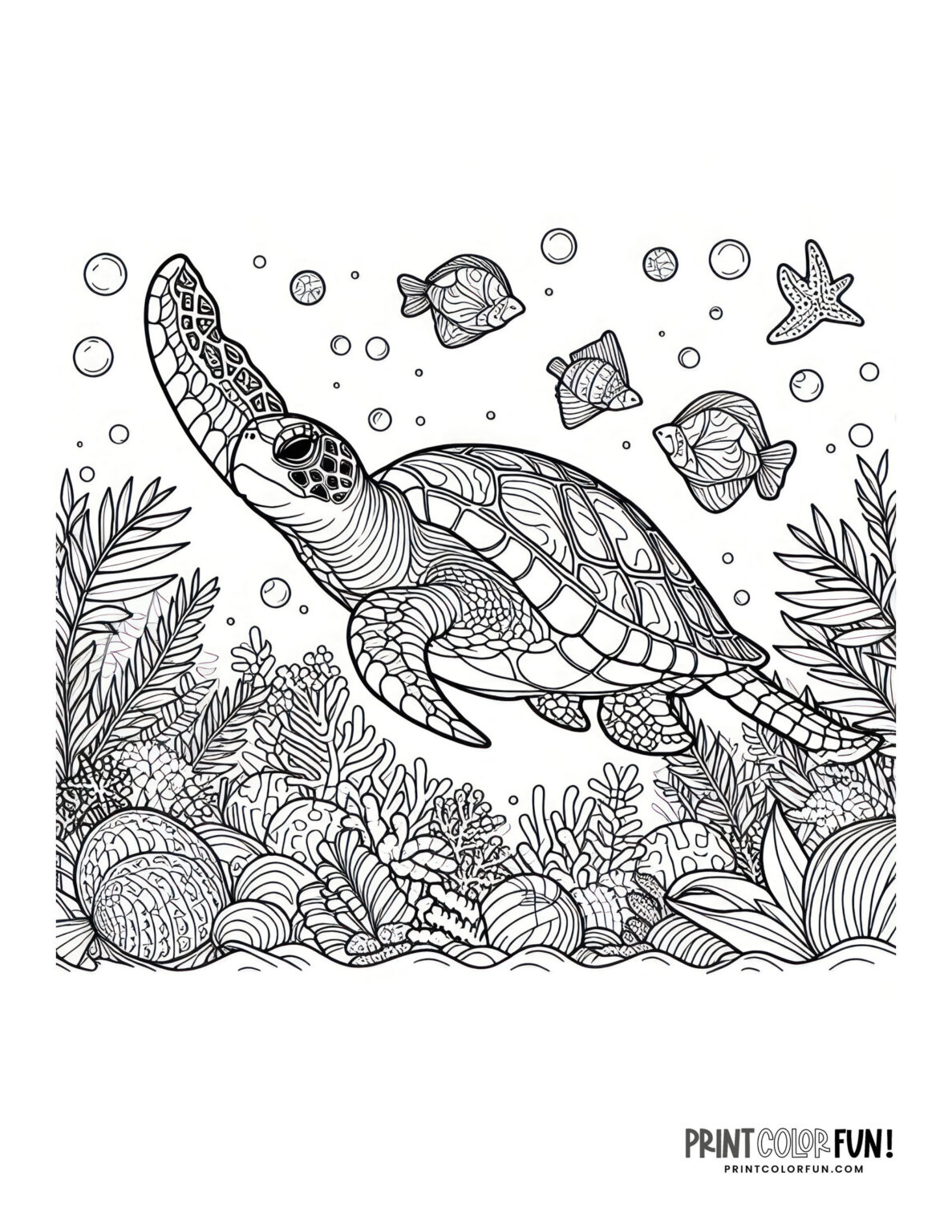 Sea turtle coloring pages & clipart, at PrintColorFun.com