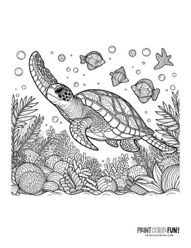 Realistic turtle coloring clipart at PrintColorFun com 1