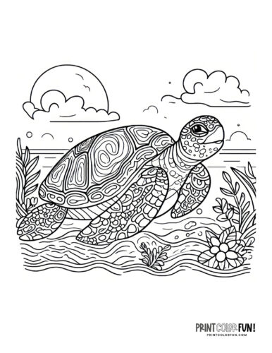 Realistic turtle coloring clipart at PrintColorFun com 2
