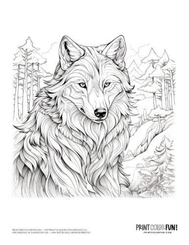 Realistic wolf coloring page clipart from PrintColorFun com (1)