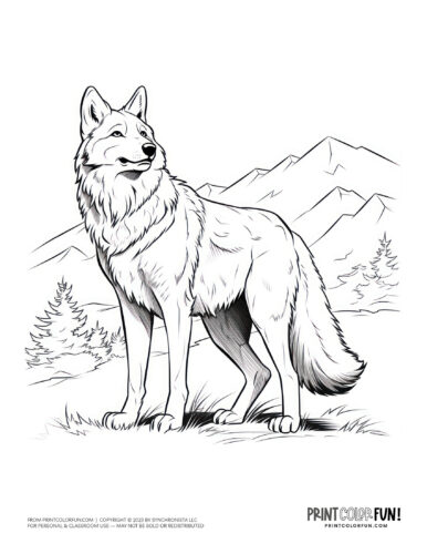 Realistic wolf coloring page clipart from PrintColorFun com (3)