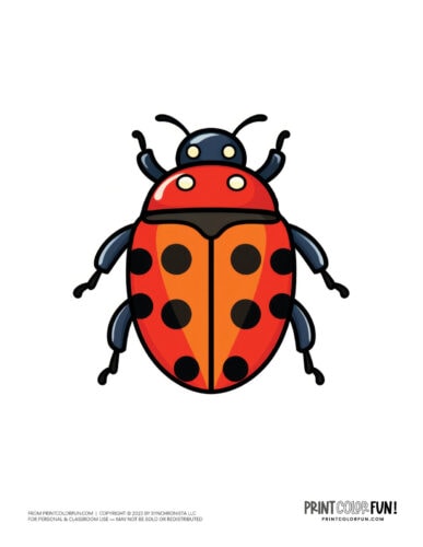 Red ladybug clipart drawing from PrintColorFun com 1