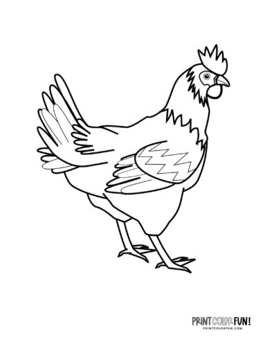 Rooster coloring clipart from PrintColorFun com 1