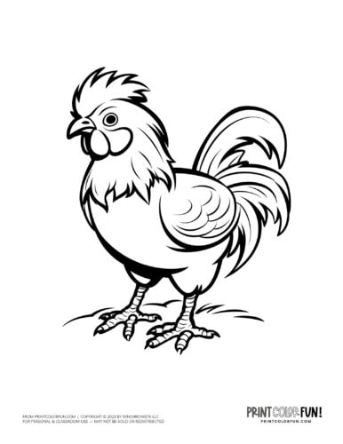 Rooster coloring clipart from PrintColorFun com 3