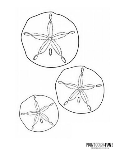 Sand Dollar shells coloring page from PrintColorFun com