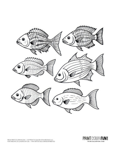 School of fish coloring page printable from PrintColorFun com.jpg (1)