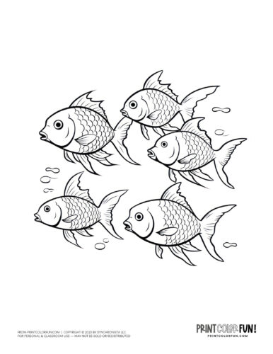 School of fish coloring page printable from PrintColorFun com.jpg (2)