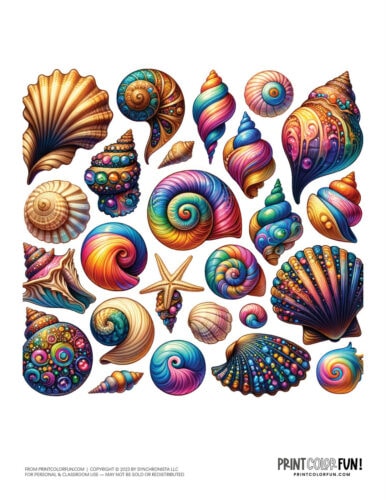 Sea shell color clipart from PrintColorFun com 3