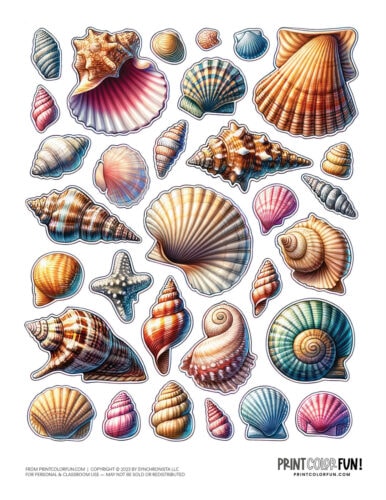 Sea shell color clipart from PrintColorFun com 4