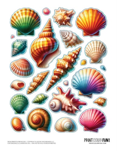 Sea shell color clipart from PrintColorFun com 5