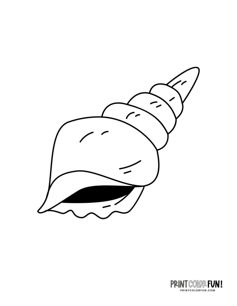 25+ Seashell clipart & coloring pages plus fun craft ideas for kids, at ...