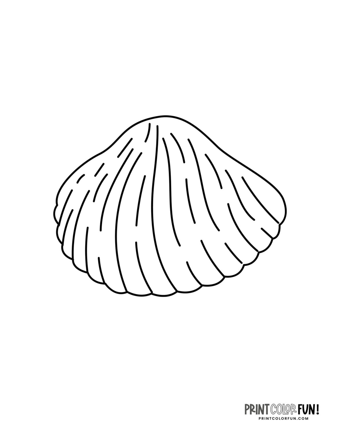 25+ Seashell clipart & coloring pages plus fun craft ideas for kids, at ...