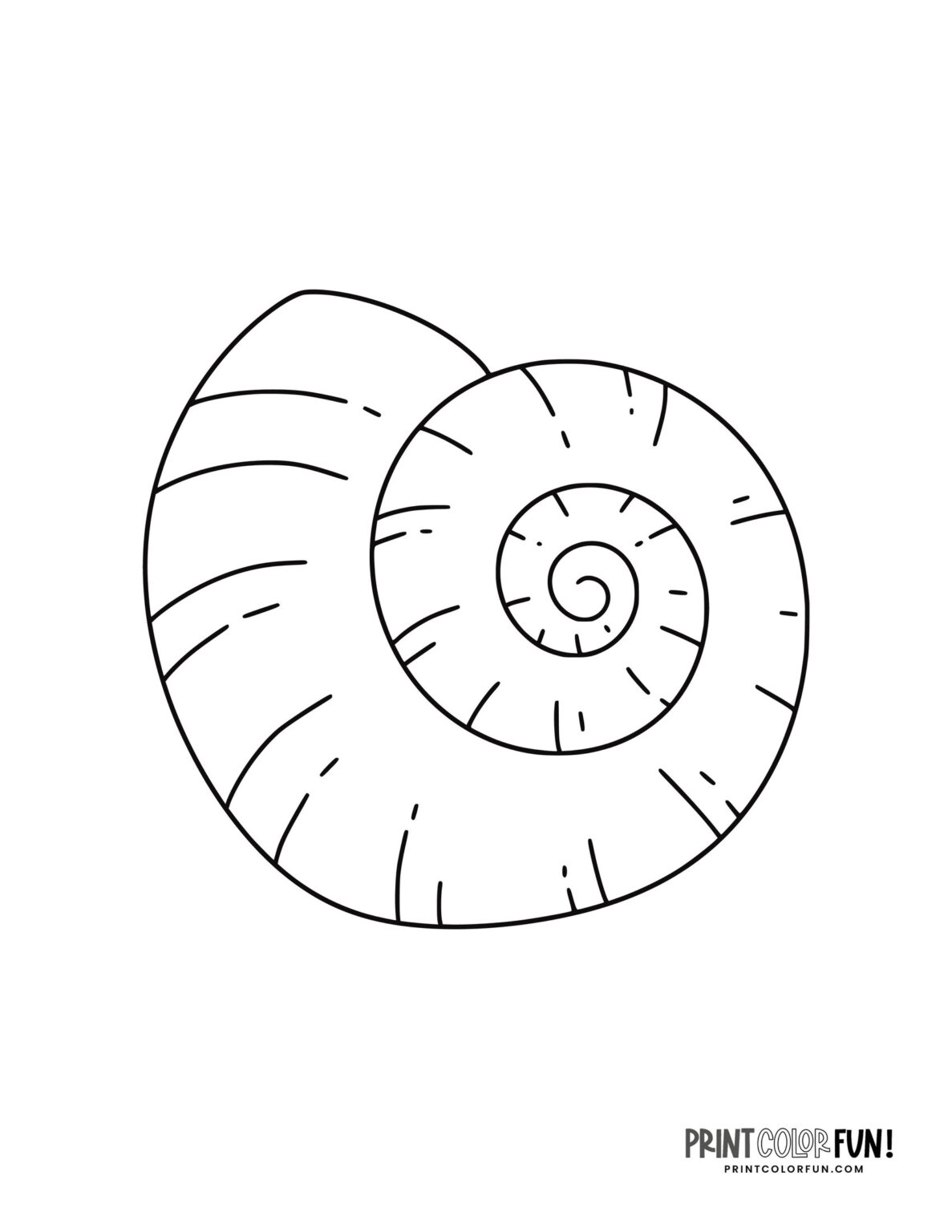 25+ Seashell clipart & coloring pages plus fun craft ideas for kids, at ...