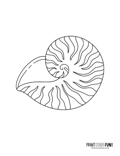 Sea shell coloring page from PrintColorFun com 15