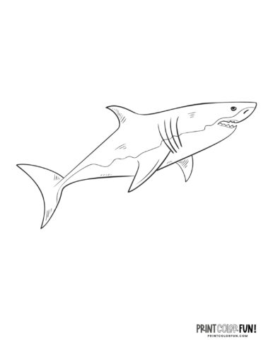 Shark coloring page clipart at PrintColorFun com 3