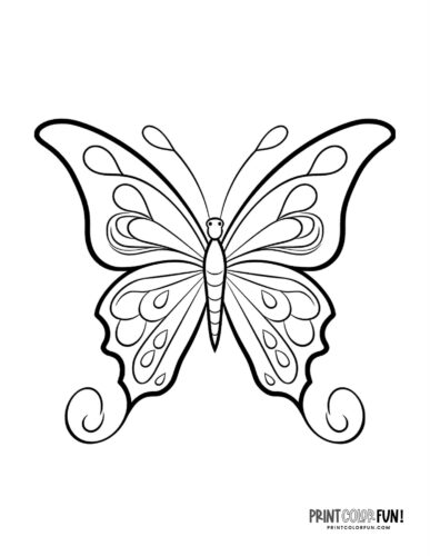 Simple and elegant butterfly coloring page - PrintColorFun com