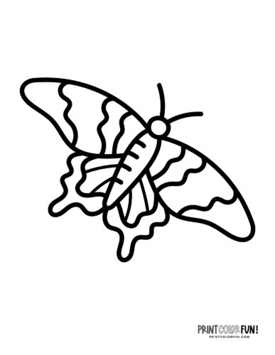 Simple butterfly coloring page - PrintColorFun com