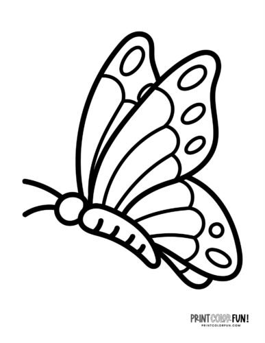 Simple flying butterfly coloring page - PrintColorFun com