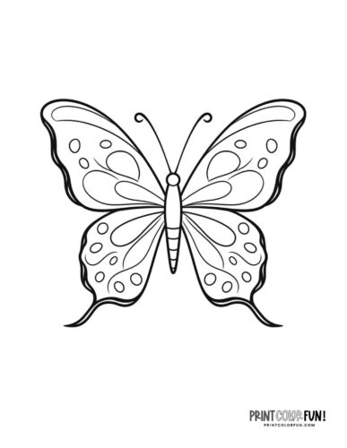 Simple papillon butterfly coloring page - PrintColorFun com
