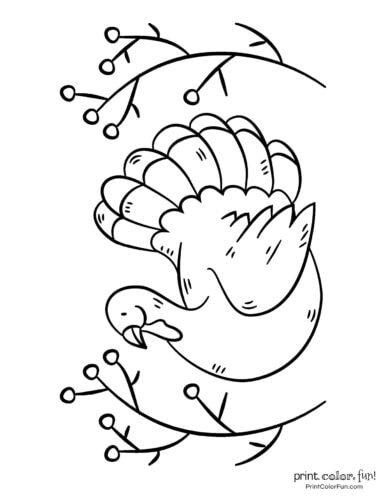 Simple turkey coloring page