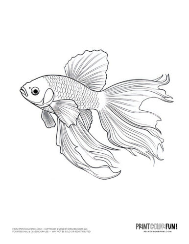 Single fish coloring page drawing from PrintColorFun com.jpg (7)