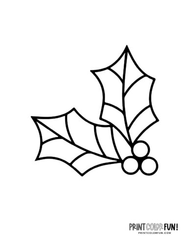 Single piece of holly clipart to color for Christmas