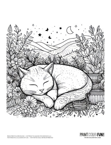 Sleeping cat coloring page clipart from PrintColorFun com (1)