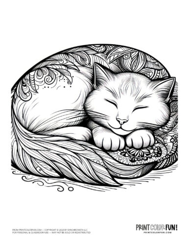 Sleeping cat coloring page clipart from PrintColorFun com (2)
