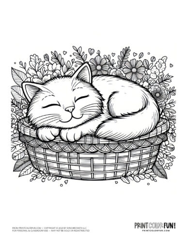 Sleeping cat coloring page clipart from PrintColorFun com (4)
