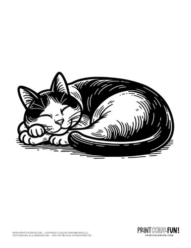 Sleeping cat coloring page clipart from PrintColorFun com (6)