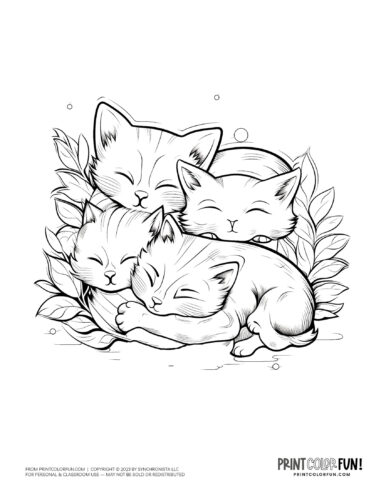 Sleeping kittens coloring page clipart from PrintColorFun com (2)