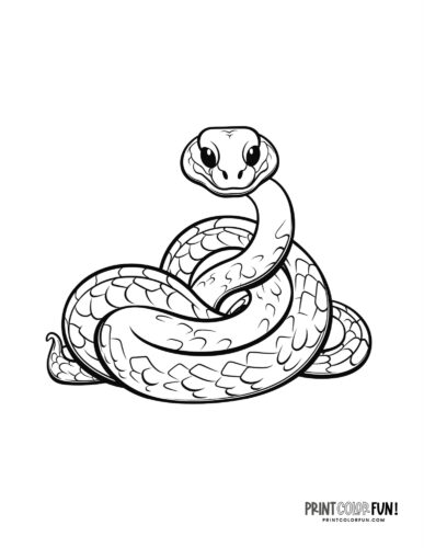 Snake coloring page clipart from PrintColorFun com (01)